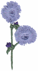 Fringed Flowers 5
