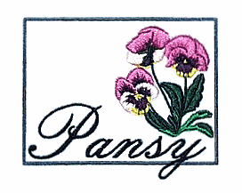 Framed Pansy