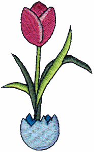 Tulip in Egg