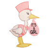 Stork announcement - It's a Girl
