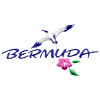 Bermuda Bird