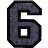 Small Varsity 2 Color Number 6