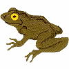 Basic Frog