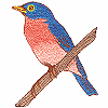 Perched Bluebird