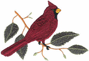 Perched Cardinal