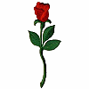 Rose 1, smaller