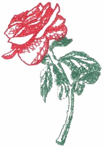 Rose 4 / smaller