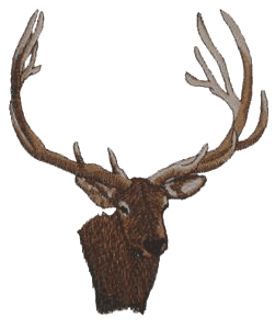 Elk Head / Larger