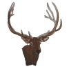 Elk Head, larger