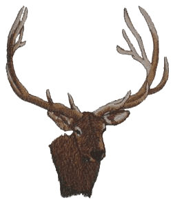 Elk Head, smaller