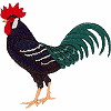 Machine Embroidery Designs Chickens Roosters category icon