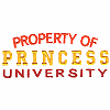 Princess University Property (Small)
