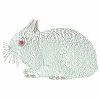 Ruby Eyed White Rabbit