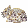 Chestnut Rabbit