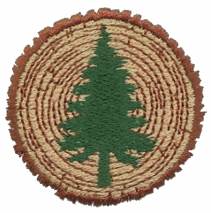 Pine Tree Within A Log Slab