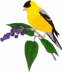 Goldfinch in Berries