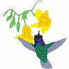 Hummingbird in Yellow Vine