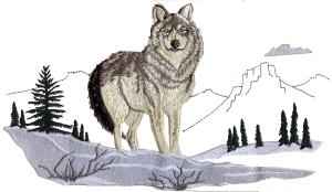 Wolf Scene