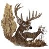 White Tail Deer Composite