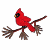 Perched Winter Cardinal