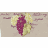 Grapes & Wine Names (Extra Large)