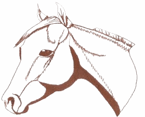 Horse Head Outline Small