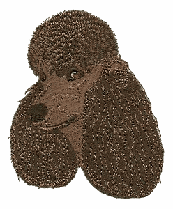 Standard Poodle Head / 2  Brown