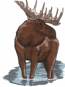Moose, small