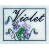 Framed Violet
