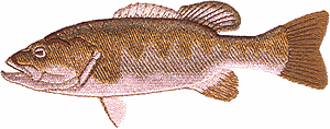Small Mouth Bass (Crest Size)