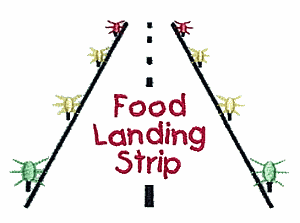 Food Landing Strip