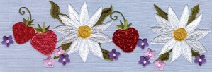 Strawberry Daisy Border