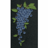 Concord Grapes 1 (Smaller)