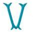 Woolworth Monogram Letter V, Small