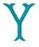 Woolworth Monogram Letter Y, Small