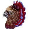 Hawk-Headed Parrot
