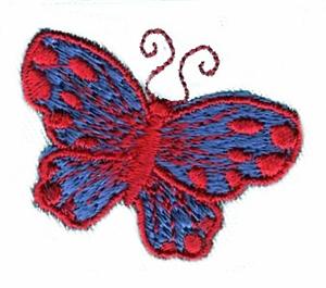 Red and Blue butterfly
