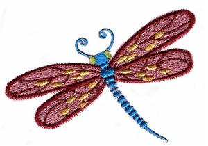 Red Purple Yellow and Blue Dragonfly