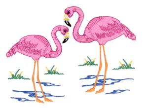 Flamingo  Pair