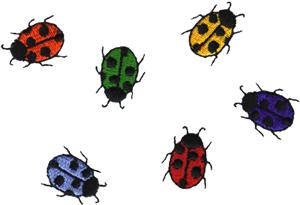 6 Mutltcolor Lady Bugs