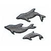 Three Dolphins Swimming, Smaller