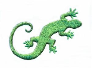 Gecko Lizard, Smaller