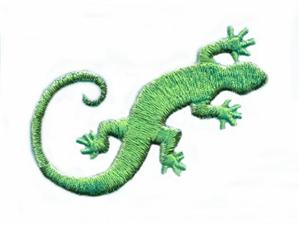 Gecko Lizard, Larger