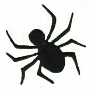Small Spider