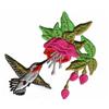 Hummingbird with Fuchsia Flower
