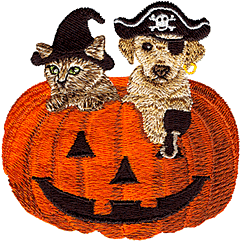 Cat and Dog Pirates in Pumpkin