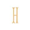 Lowercase Baroque Letter H