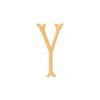 Lowercase Baroque Letter Y