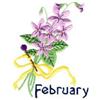 February Violet