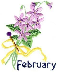 February Violet